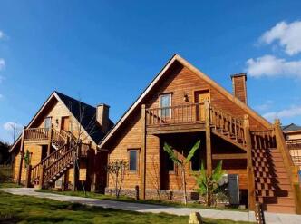 ����ľ��